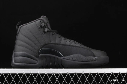 WINTERIZED ANTHRACITE JORDAN BLACK AIR 12 0803
